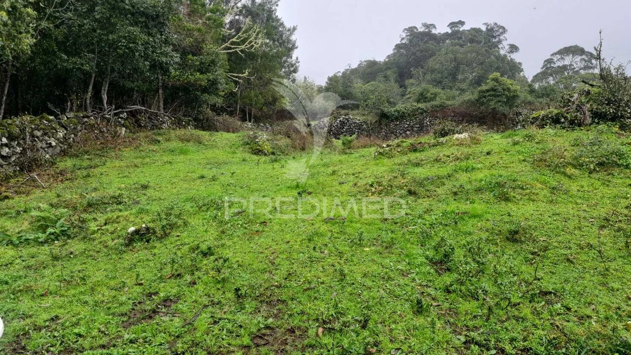 Terreno para Venda em São Mateus da Calheta Foto 2