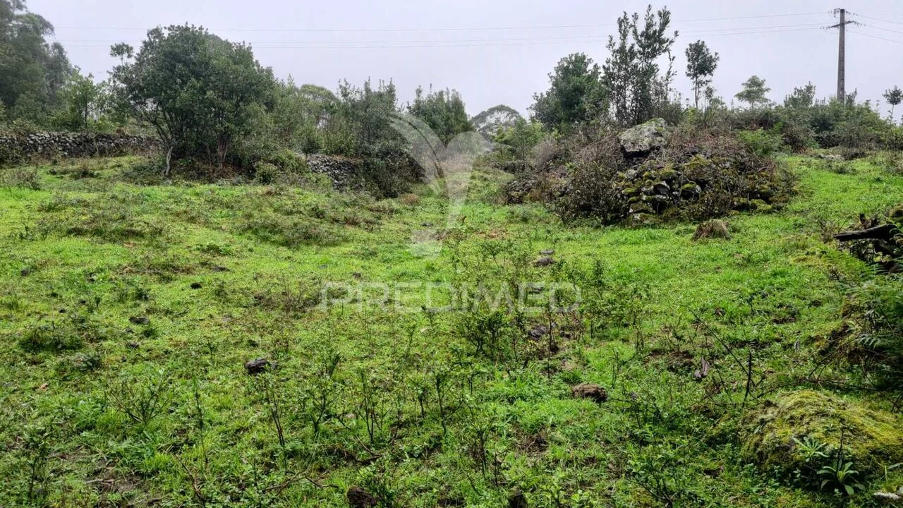Terreno para Venda em São Mateus da Calheta Foto 5