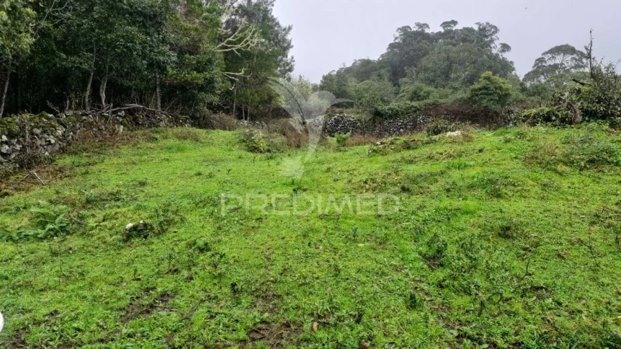 Terreno para Venda em São Mateus da Calheta Foto 2