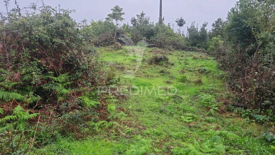 Terreno para Venda em São Mateus da Calheta Foto 3