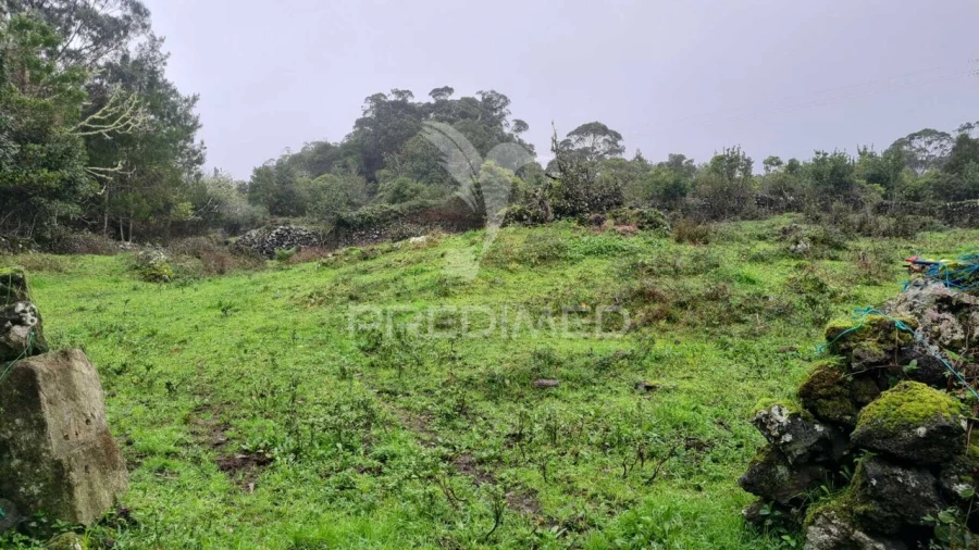 Terreno para Venda em São Mateus da Calheta Foto 6