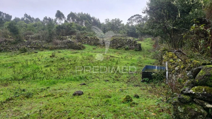 Terreno para Venda em São Mateus da Calheta Foto 4