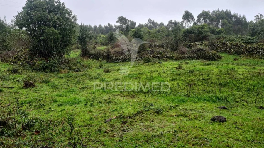 Terreno para Venda em São Mateus da Calheta