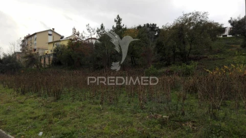 Terreno para Venda em Santa Clara e Castelo Viegas