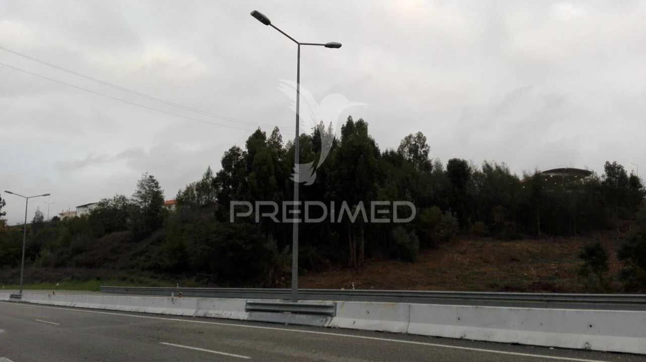 Terreno para Venda em Santa Clara e Castelo Viegas Foto 3