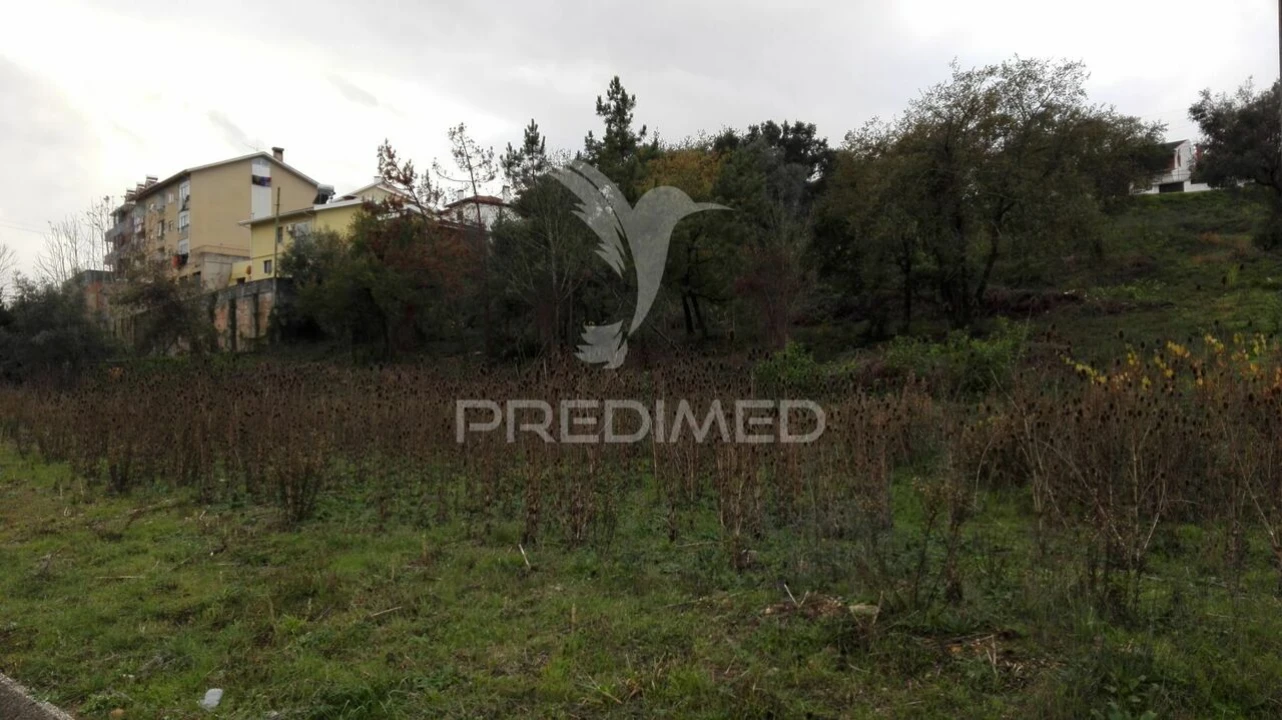 Terreno para Venda em Santa Clara e Castelo Viegas Foto 1