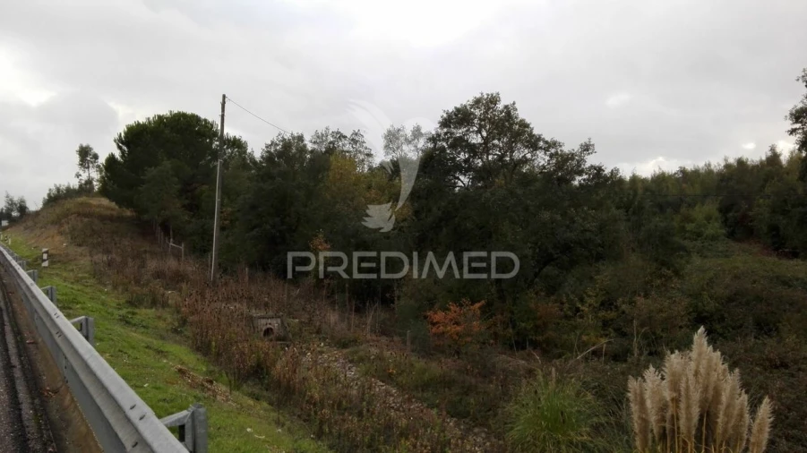 Terreno para Venda em Santa Clara e Castelo Viegas Foto 2