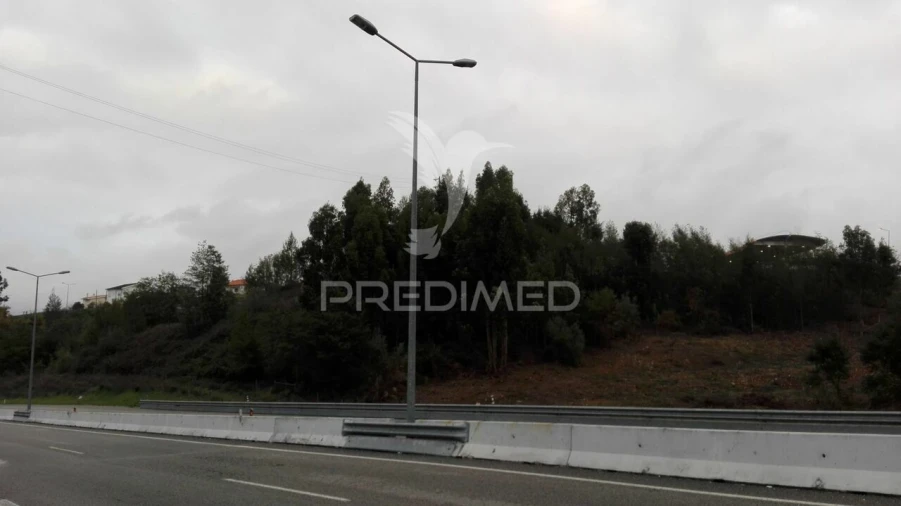 Terreno para Venda em Santa Clara e Castelo Viegas Foto 3