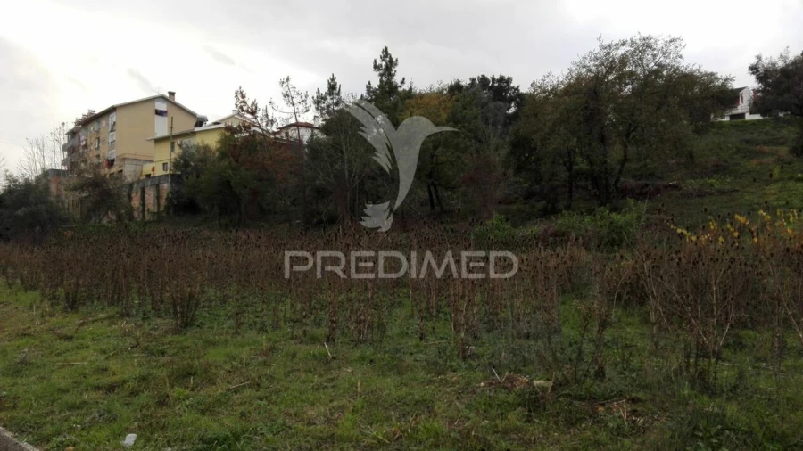 Terreno para Venda em Santa Clara e Castelo Viegas