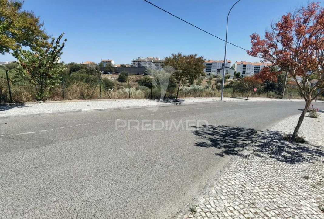 Terreno para Venda em Alcanena e Vila Moreira Foto 4