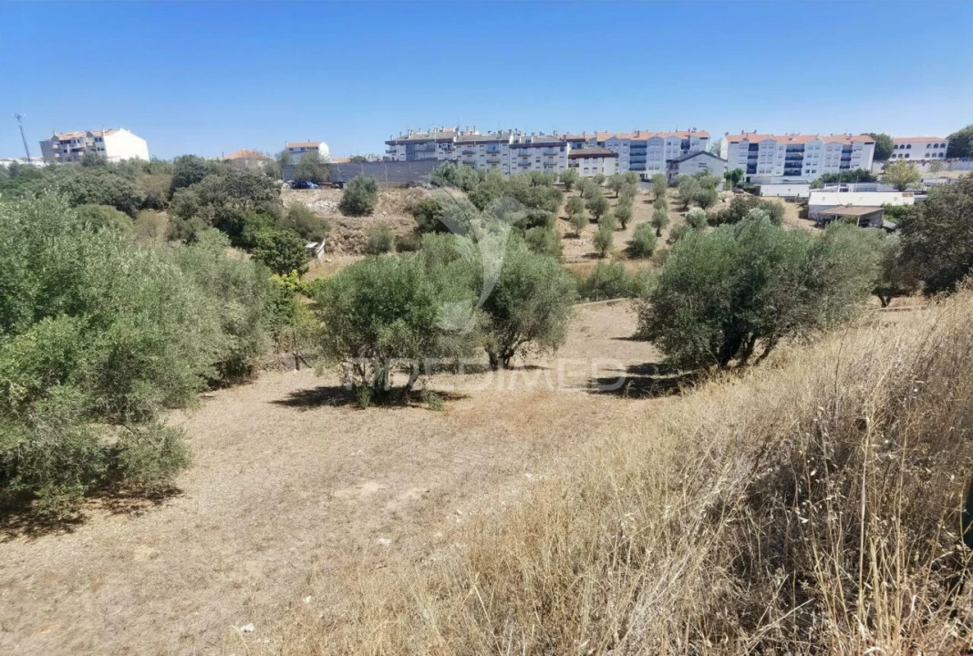 Terreno para Venda em Alcanena e Vila Moreira Foto 12