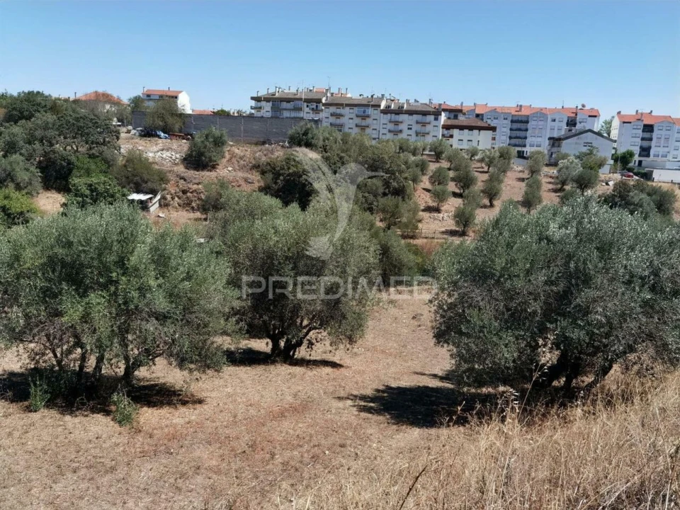 Terreno para Venda em Alcanena e Vila Moreira Foto 7