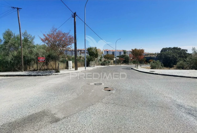 Terreno para Venda em Alcanena e Vila Moreira Foto 2