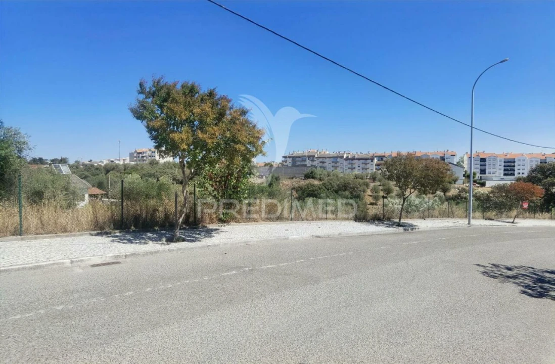 Terreno para Venda em Alcanena e Vila Moreira Foto 18