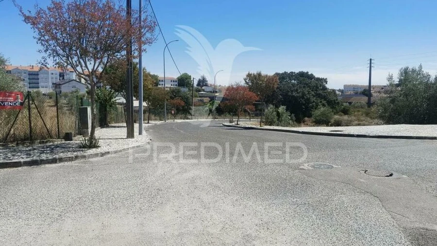 Terreno para Venda em Alcanena e Vila Moreira