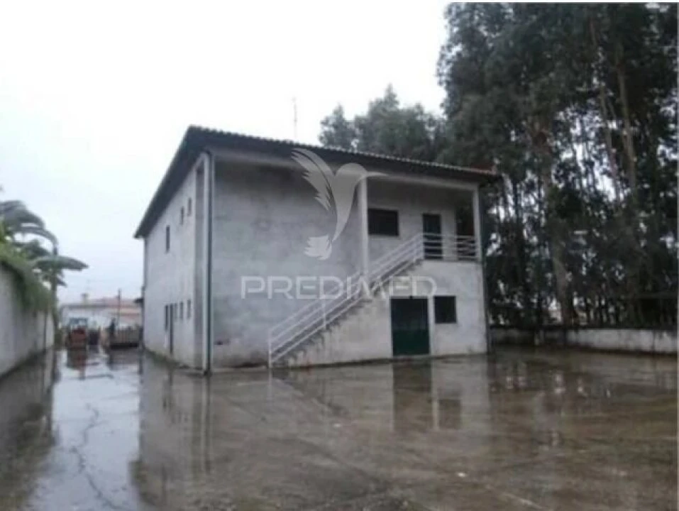 Loja para Venda em Avelãs de Cima Foto 3