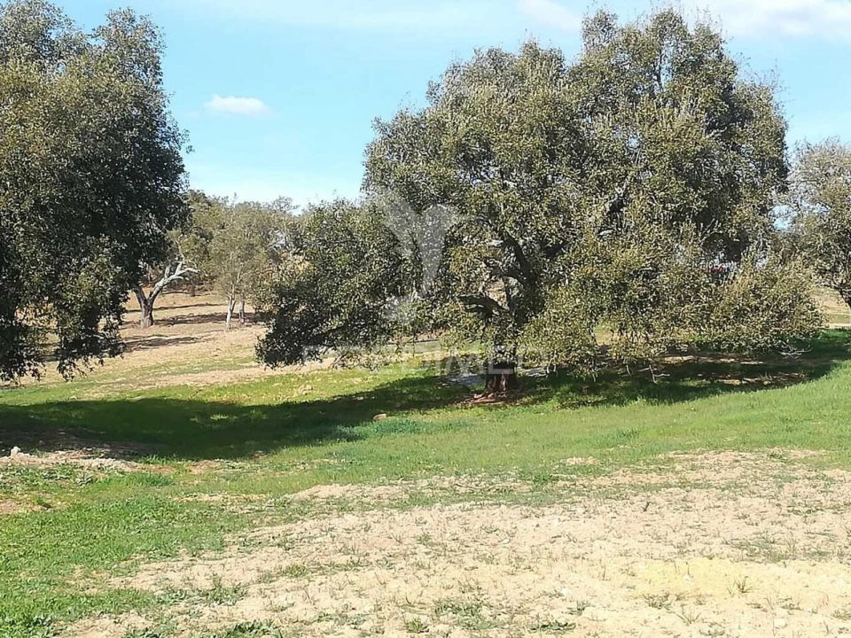 Quinta T2 para Venda em Santiago do Cacém, Santa Cruz e São Bartolomeu da Serra Foto 34