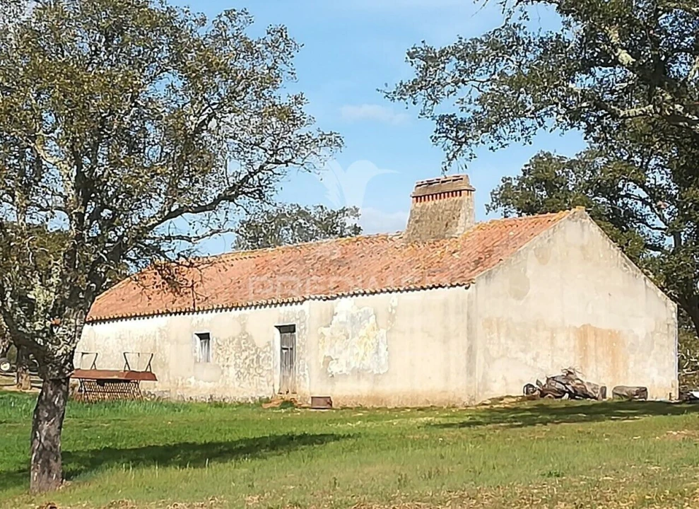 Quinta T2 para Venda em Santiago do Cacém, Santa Cruz e São Bartolomeu da Serra Foto 7