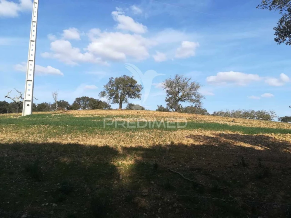 Quinta T2 para Venda em Santiago do Cacém, Santa Cruz e São Bartolomeu da Serra Foto 33