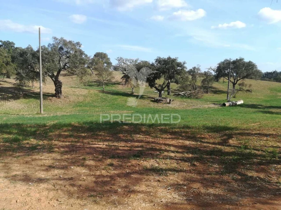 Quinta T2 para Venda em Santiago do Cacém, Santa Cruz e São Bartolomeu da Serra Foto 35