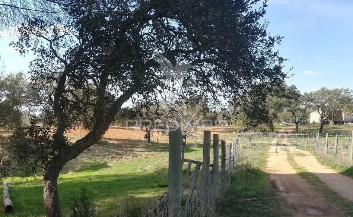 Quinta T2 para Venda em Santiago do Cacém, Santa Cruz e São Bartolomeu da Serra Foto 29
