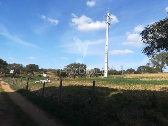 Quinta T2 para Venda em Santiago do Cacém, Santa Cruz e São Bartolomeu da Serra Foto 24