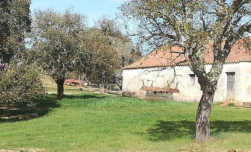 Quinta T2 para Venda em Santiago do Cacém, Santa Cruz e São Bartolomeu da Serra Foto 8