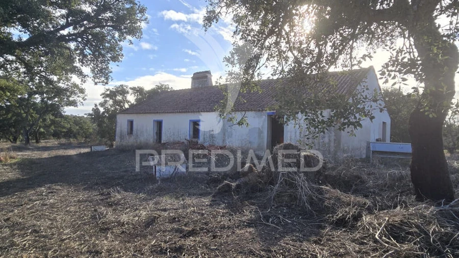 Quinta T2 para Venda em Santiago do Cacém, Santa Cruz e São Bartolomeu da Serra