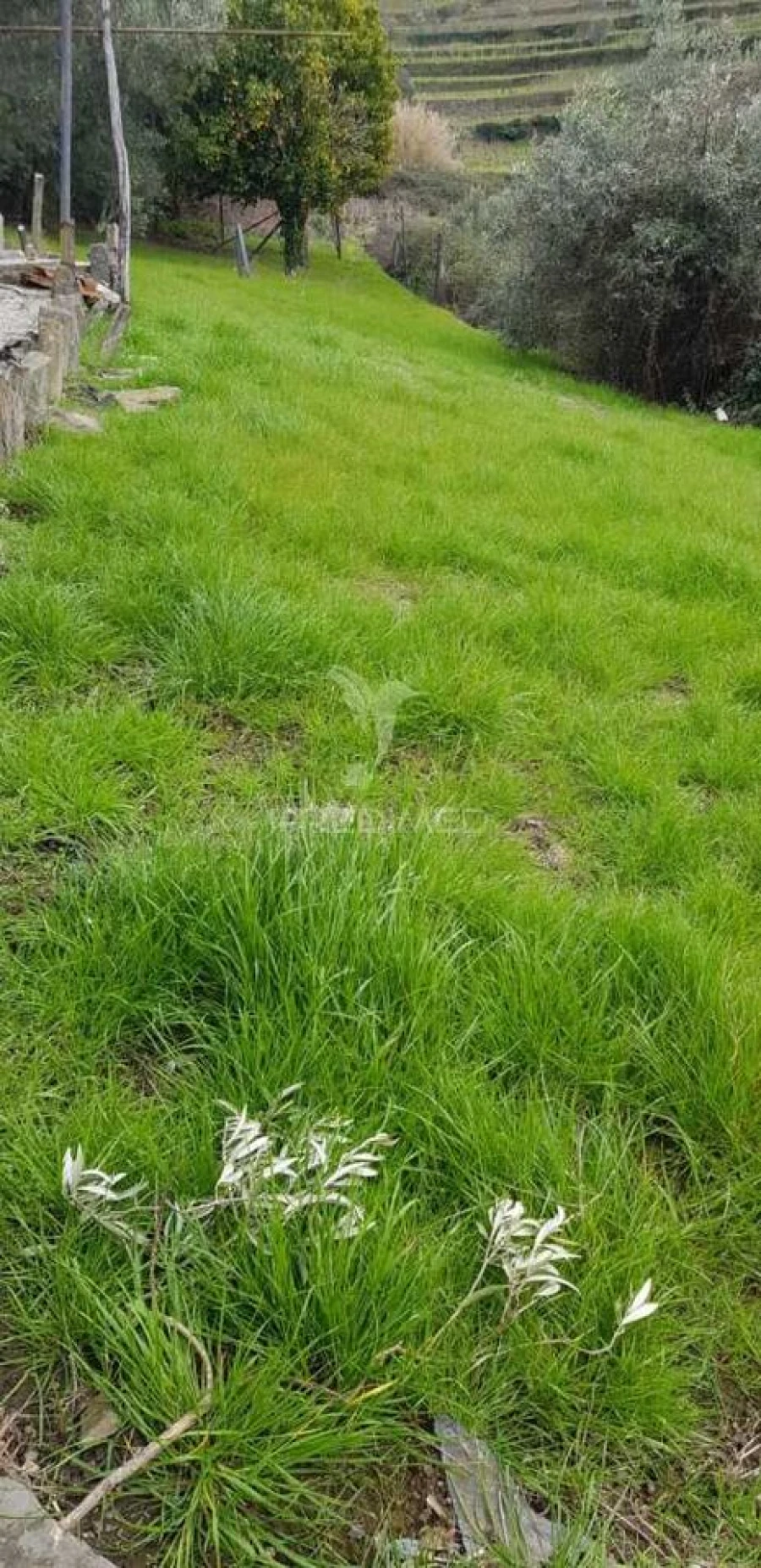 Terreno para Venda em Moura Morta e Vinhós Foto 1