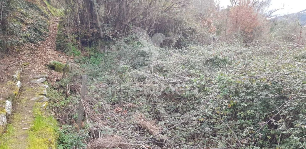 Terreno para Venda em Moura Morta e Vinhós Foto 3