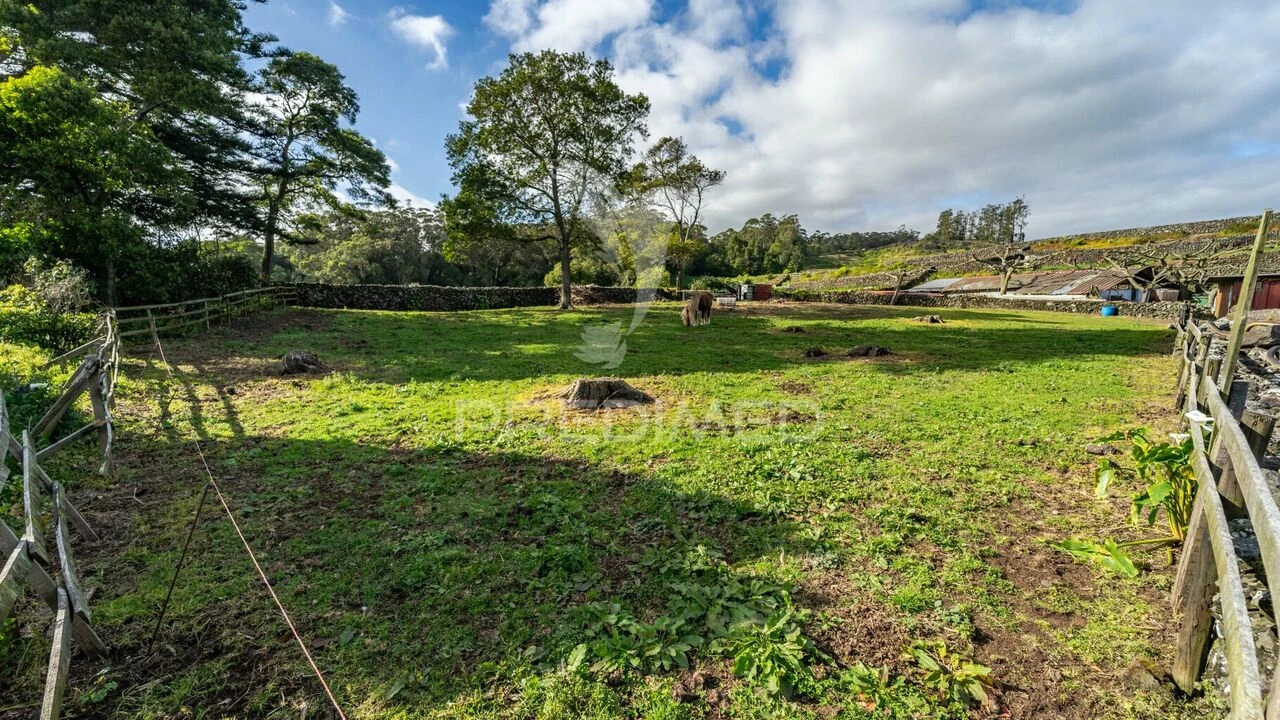 Moradia T1 para Venda em São Mateus da Calheta Foto 7
