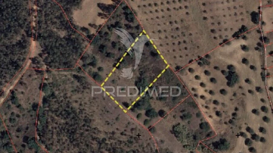 Terreno para Venda em Alcanena e Vila Moreira