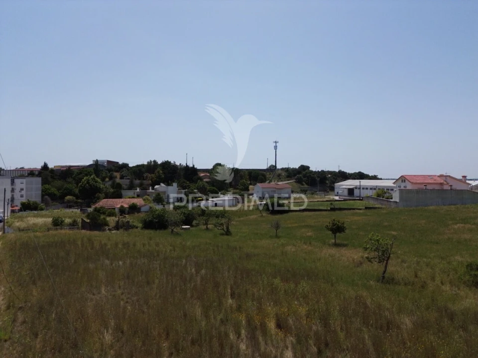 Terreno para Venda em Alcanena e Vila Moreira Foto 8