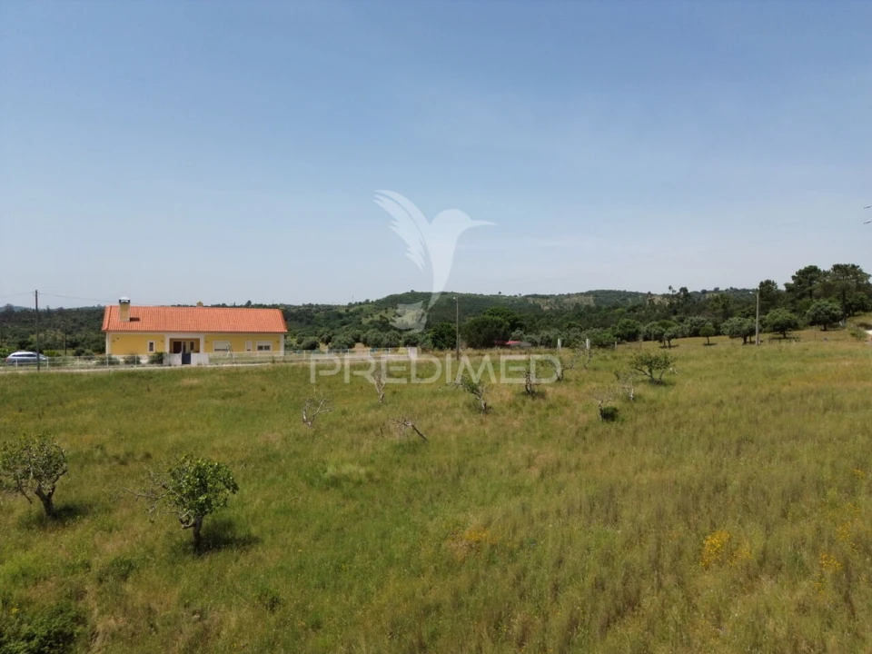 Terreno para Venda em Alcanena e Vila Moreira Foto 3