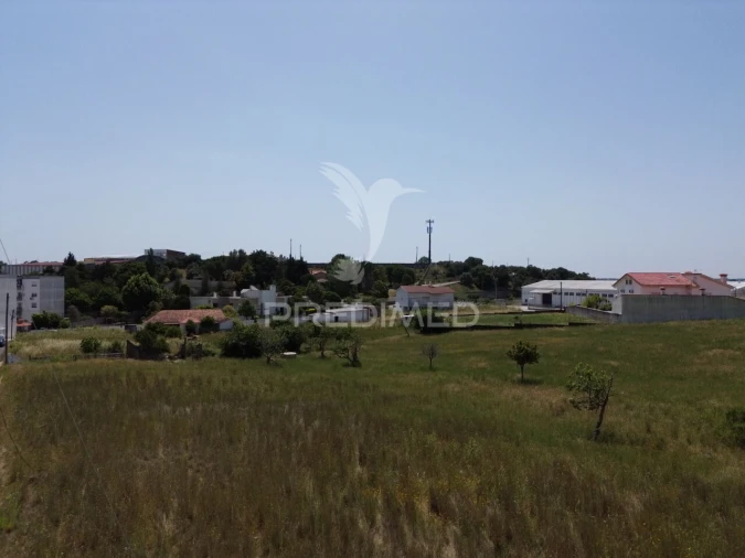 Terreno para Venda em Alcanena e Vila Moreira Foto 8