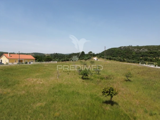 Terreno para Venda em Alcanena e Vila Moreira Foto 2
