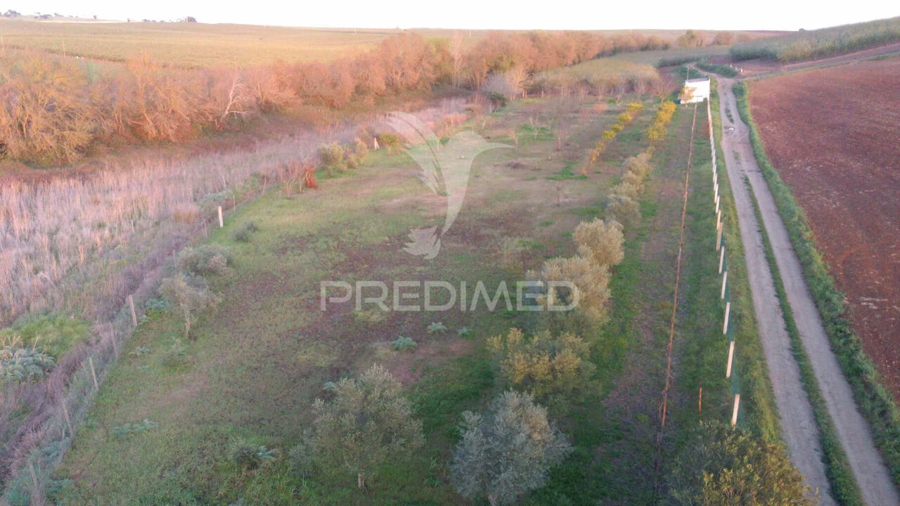 Terreno para Venda em Trigaches e São Brissos Foto 16