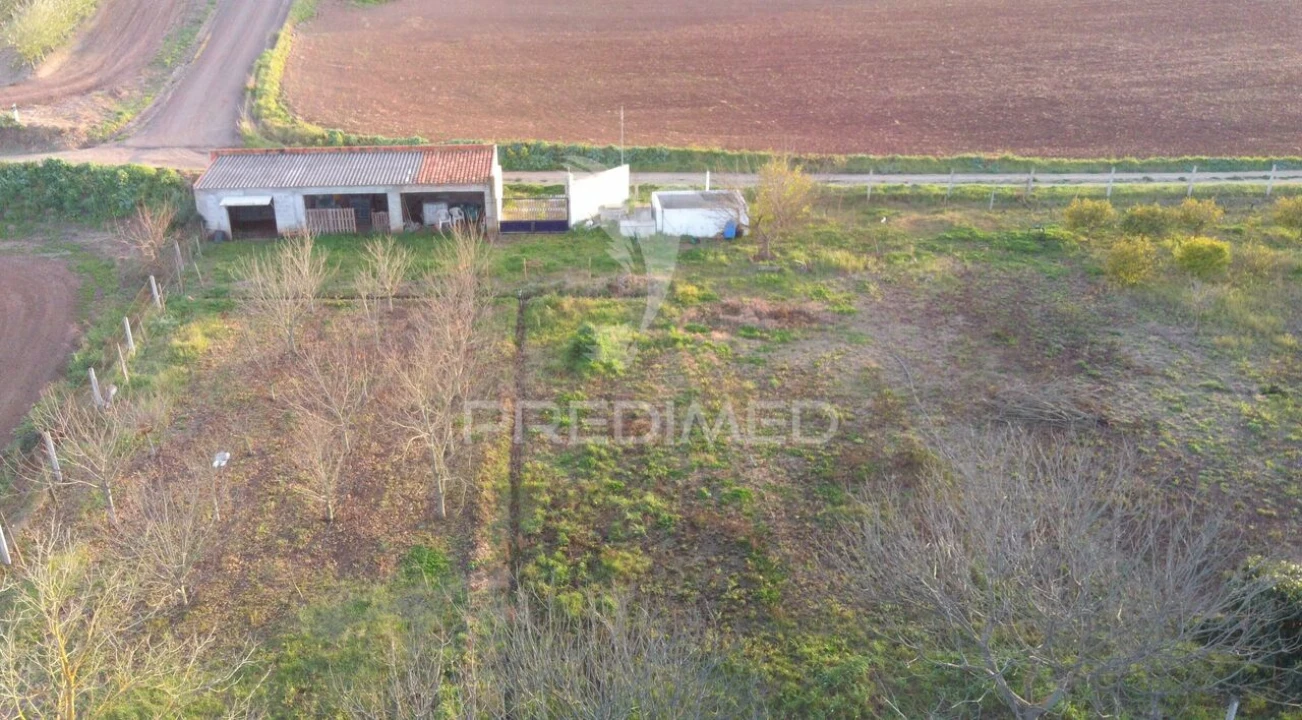 Terreno para Venda em Trigaches e São Brissos Foto 12