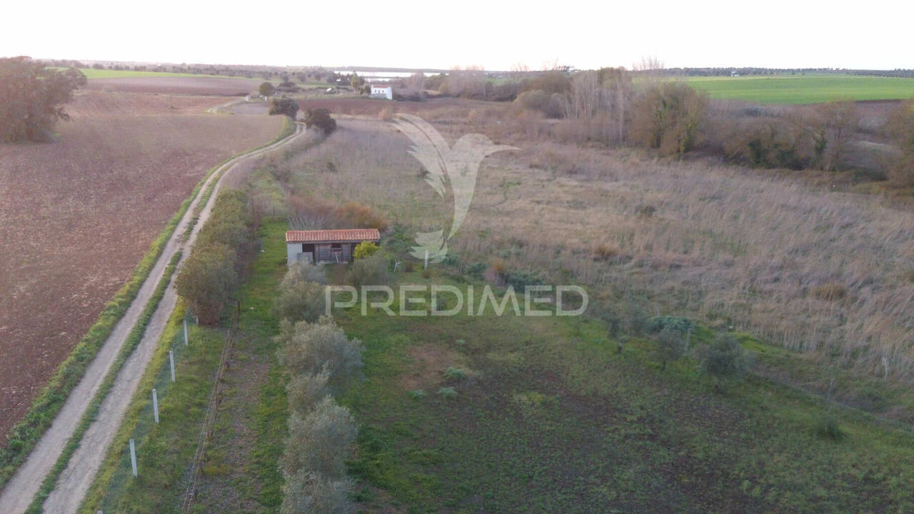Terreno para Venda em Trigaches e São Brissos Foto 15