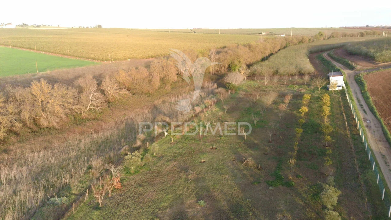Terreno para Venda em Trigaches e São Brissos Foto 14