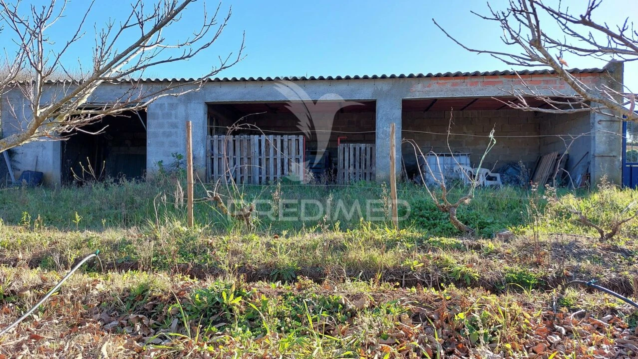 Terreno para Venda em Trigaches e São Brissos Foto 10
