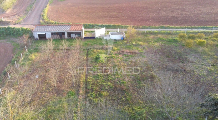 Terreno para Venda em Trigaches e São Brissos Foto 12