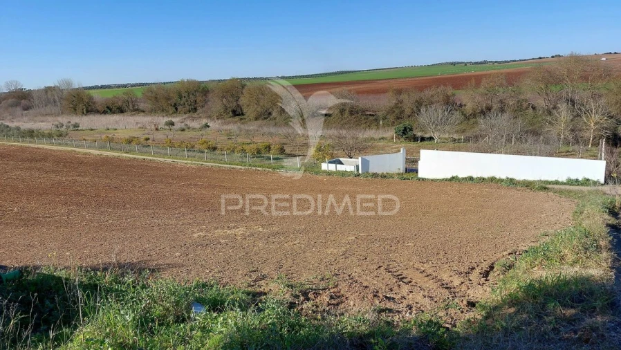 Terreno para Venda em Trigaches e São Brissos Foto 2
