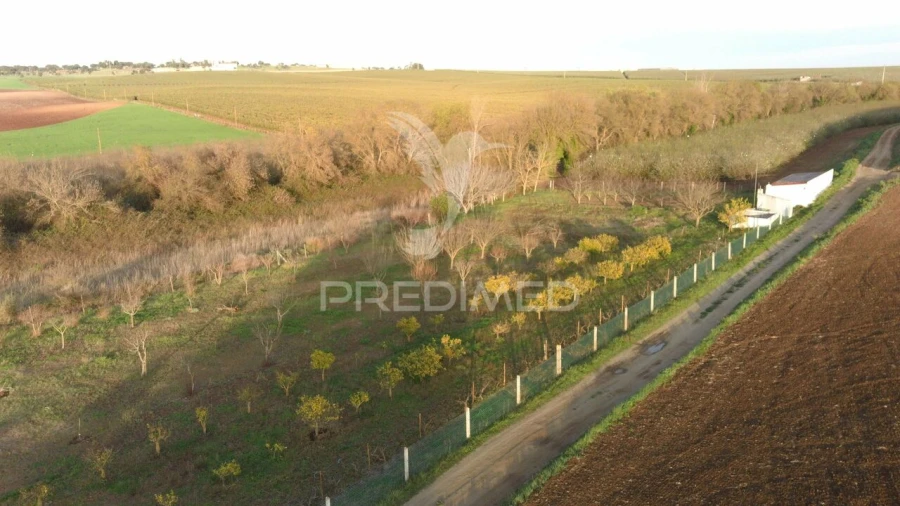 Terreno para Venda em Trigaches e São Brissos Foto 13