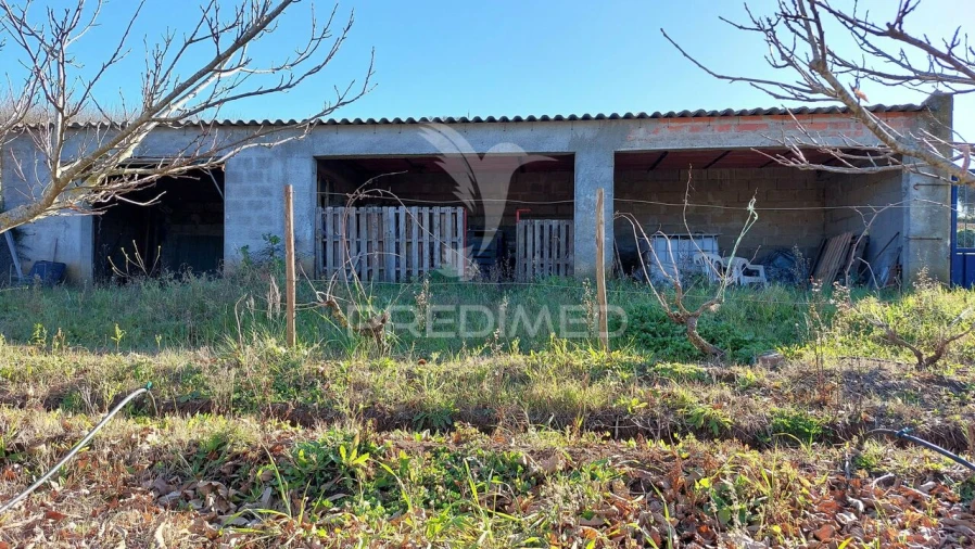 Terreno para Venda em Trigaches e São Brissos Foto 10