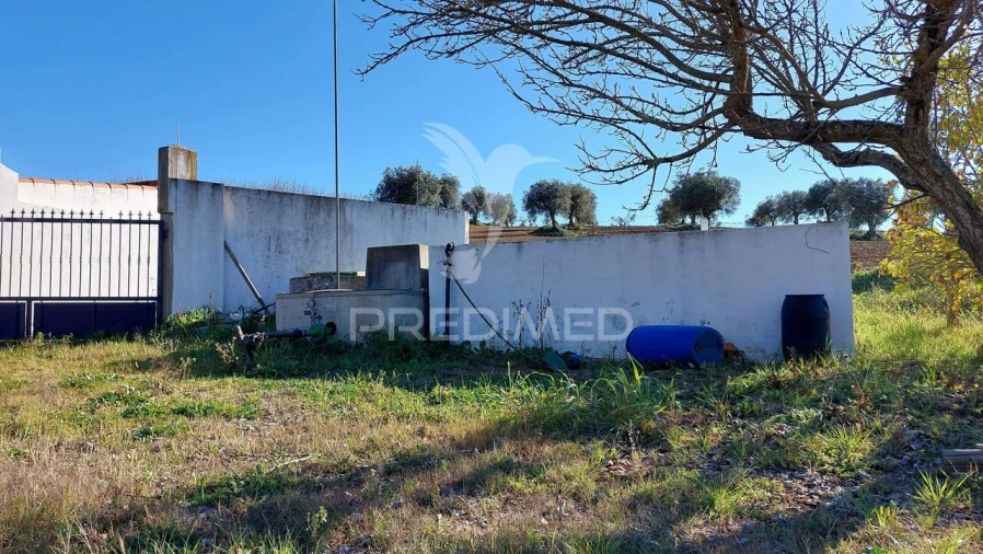 Terreno para Venda em Trigaches e São Brissos Foto 9