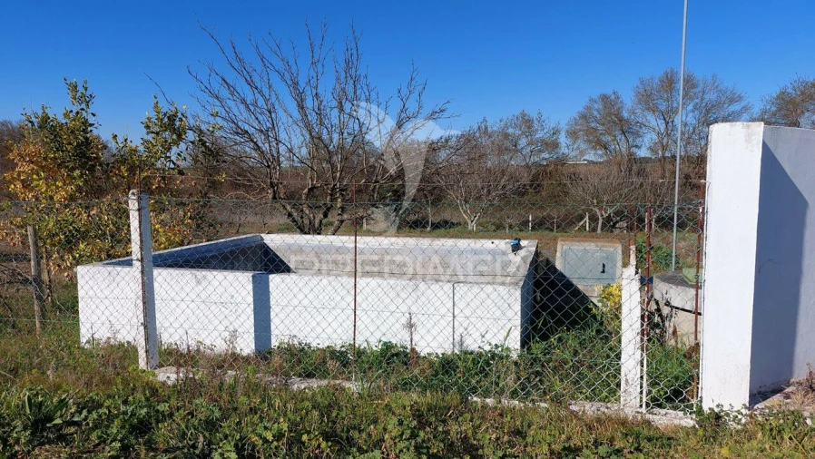 Terreno para Venda em Trigaches e São Brissos Foto 4