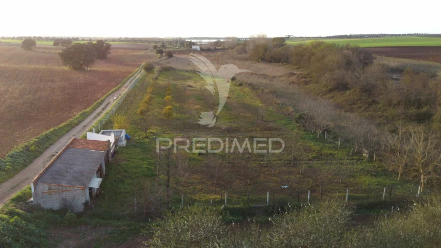 Terreno para Venda em Trigaches e São Brissos