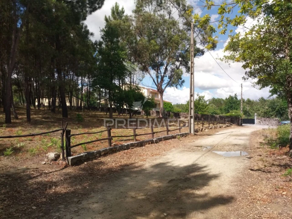 Terreno para Venda em Mangualde, Mesquitela e Cunha Alta Foto 5