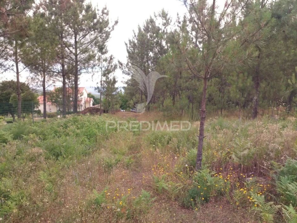 Terreno para Venda em Mangualde, Mesquitela e Cunha Alta Foto 10
